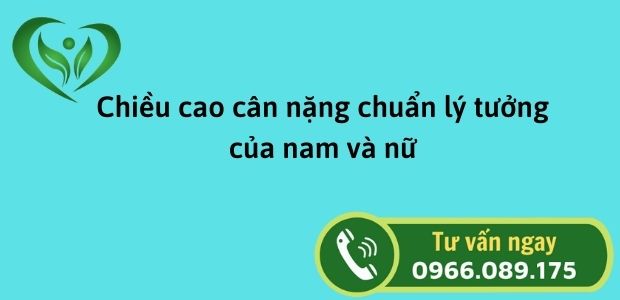 Chiều cao cân nặng chuẩn lý tưởng của nam và nữ