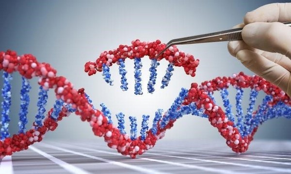 Phân tích DNA tự do trong máu của người mẹ