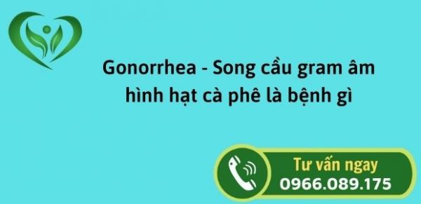 Gonorrhea - Song cầu gram âm hình hạt cà phê là bệnh gì