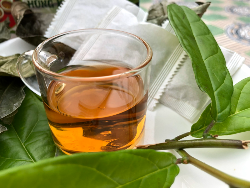  Để sử dụng cây xạ đen chữa u tuyến giáp một cách hiệu quả, bạn cần tuân thủ các hướng dẫn về liều lượng và cách chế biến